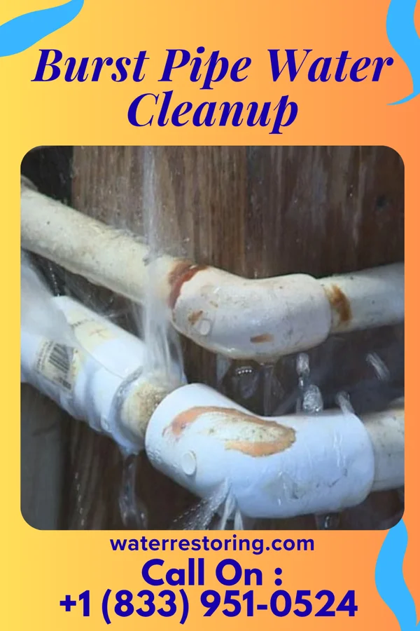 Burst Pipe Water Cleanup in Dellwood, MO