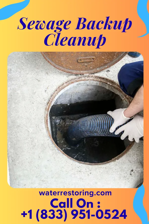Sewage Backup Cleanup in Dellwood, MO